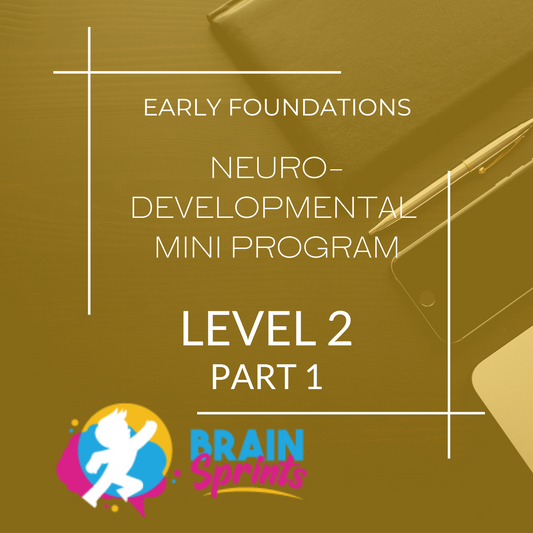 Early Foundations ND Mini-Programs Level 2 Part 1