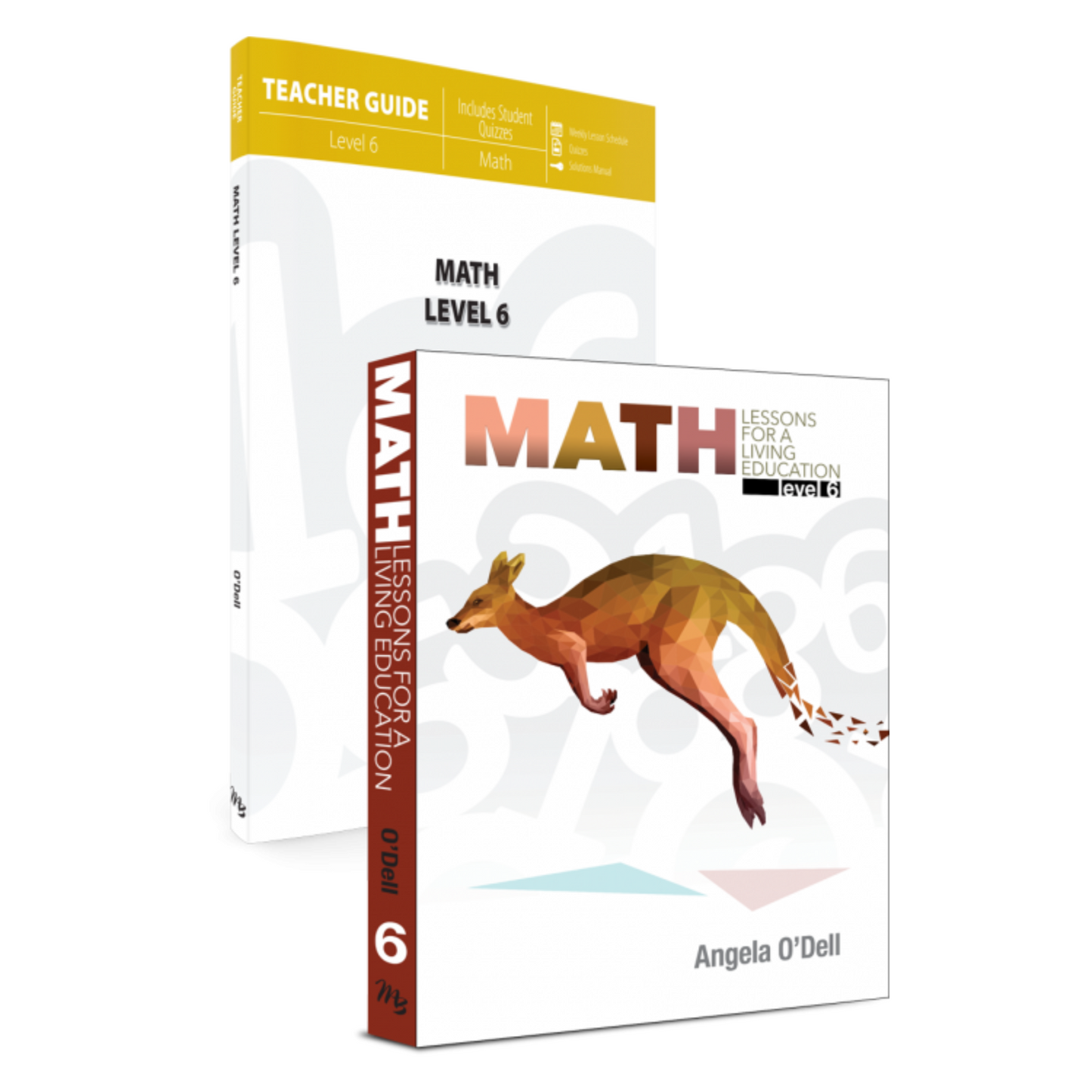 Math Lessons for a Living Education: Level 6 Teacher's Guide