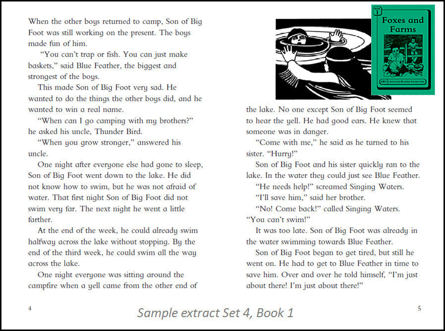 Ari Book 3RsPlus- Advanced Reading Instruction (ARI) Books – Brain Sprints