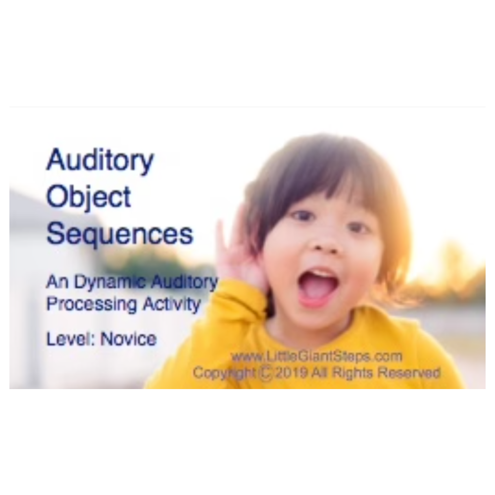 Auditory Object Auditory Object Sequence Cards - Novice or Pro – Brain Sprints