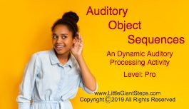 Auditory Object Sequence Cards - Novice or Pro