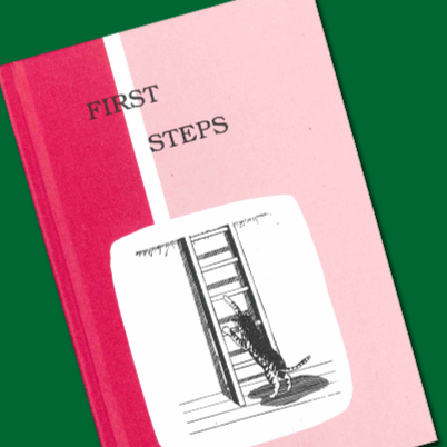 first steps book